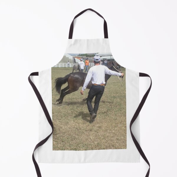Item preview, taming the horse designed and sold by felipequeiroz.
