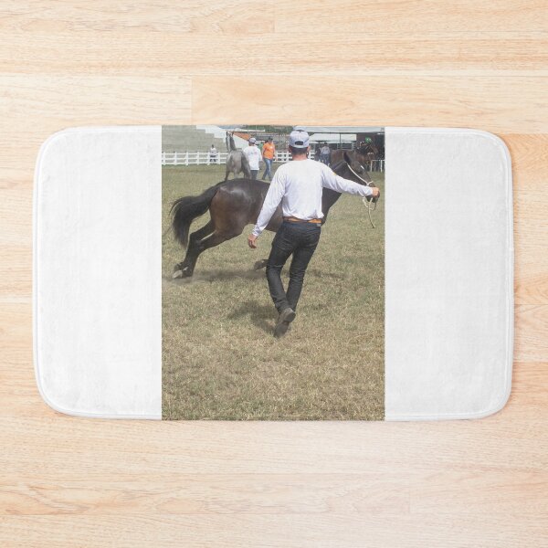 Item preview, taming the horse designed and sold by felipequeiroz.