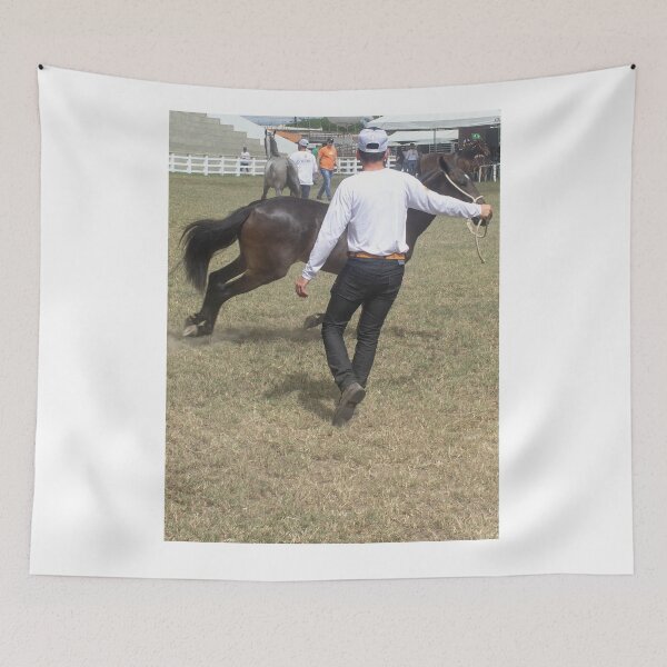 Item preview, taming the horse designed and sold by felipequeiroz.
