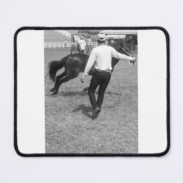 Item preview, taming the horse 4 designed and sold by felipequeiroz.