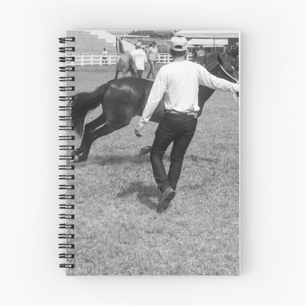 Item preview, taming the horse 4 designed and sold by felipequeiroz.