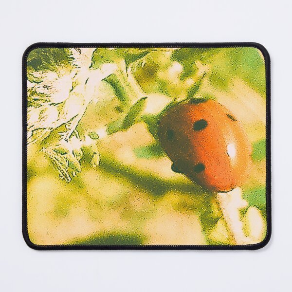 Item preview, Ladybug designed and sold by Academic Art Studio.