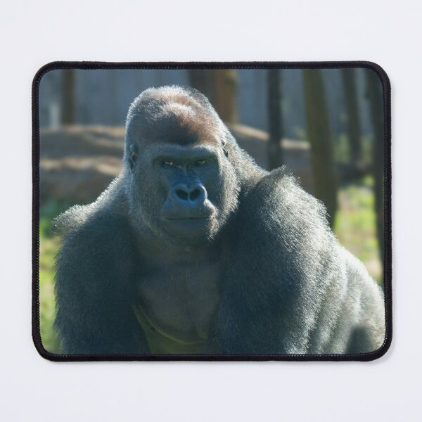 Item preview, Gorilla Lope in Full Command, Ready for Anything designed and sold by rawshutterbug.