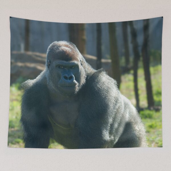 Item preview, Gorilla Lope in Full Command, Ready for Anything designed and sold by rawshutterbug.
