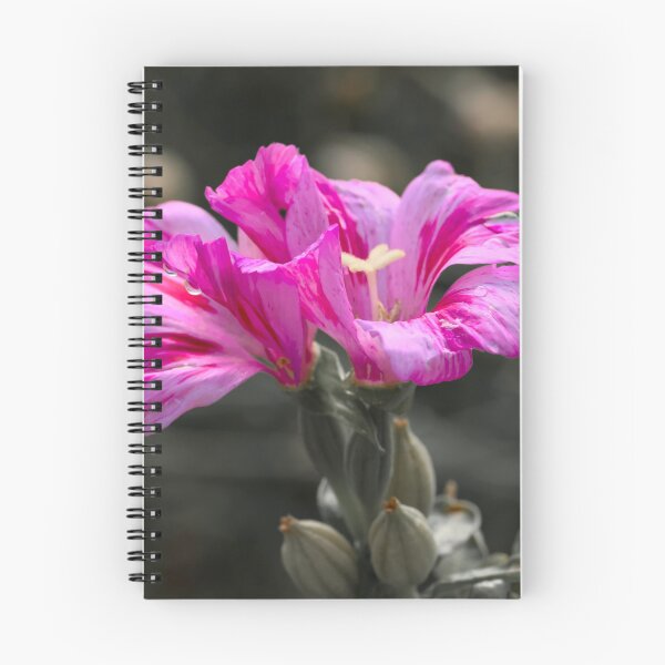 Item preview, Farewell To Spring Flower color isolation photo designed and sold by Cblifeisgood.