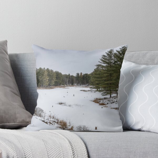 Item preview, Winter Serenity at Frontenac Park 2 designed and sold by jrtwynam.