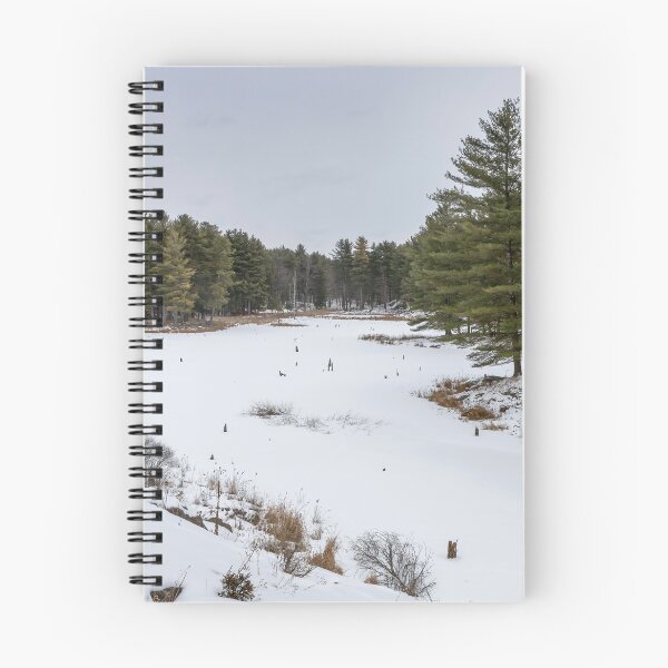 Item preview, Winter Serenity at Frontenac Park 2 designed and sold by jrtwynam.