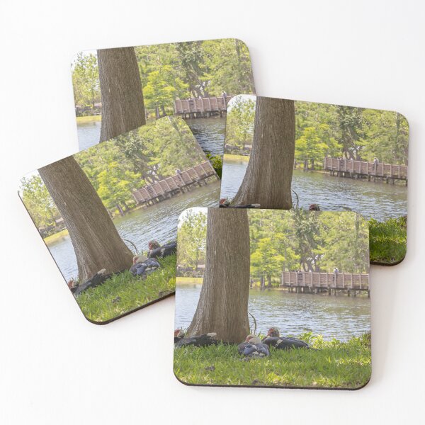 Item preview, Muscovy Ducks at Crest Lake Park 2 designed and sold by jrtwynam.