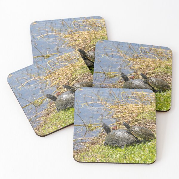 Item preview, Turtles at Crest Lake Park designed and sold by jrtwynam.