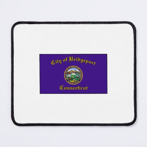 Item preview, Bridgeport Conneticuit Flag designed and sold by delmarvastickers.