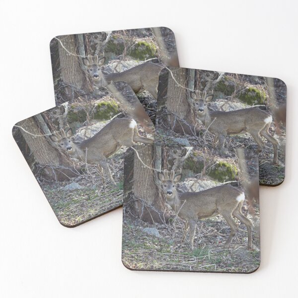 Item preview, Bushlife. Roe deer designed and sold by Jouko Lehto Photography.