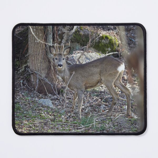 Item preview, Bushlife. Roe deer designed and sold by Jouko Lehto Photography.