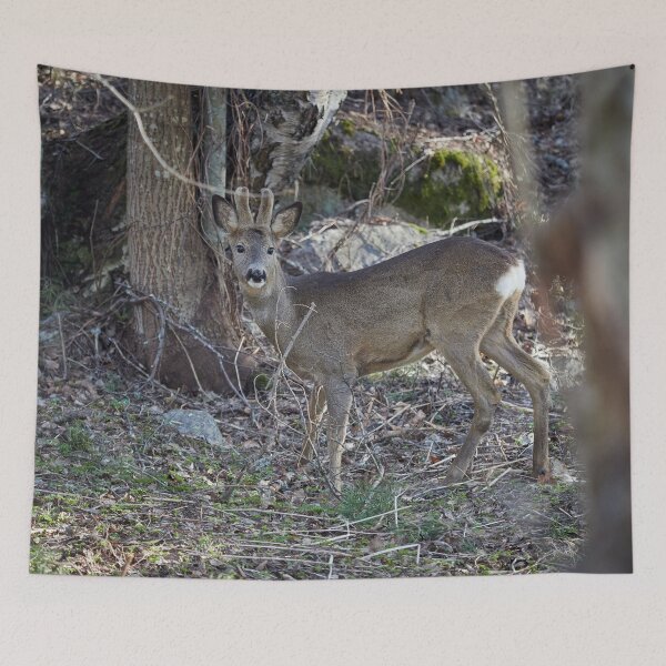 Item preview, Bushlife. Roe deer designed and sold by Jouko Lehto Photography.