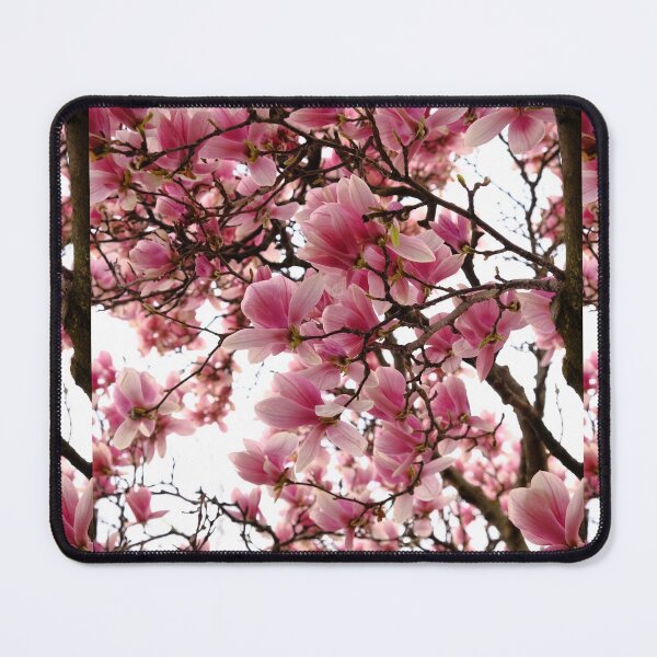 Item preview, Pink Magnolia flower in full bloom designed and sold by tenkenryujin.