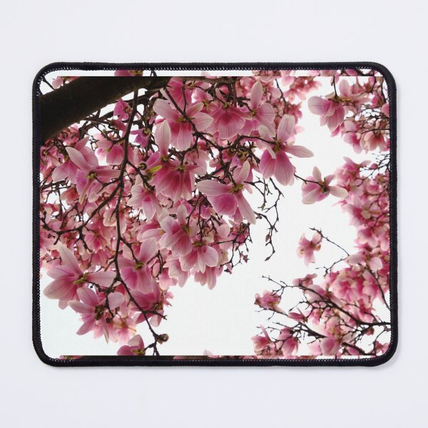 Item preview, 03 Pink Magnolia flower in full bloom designed and sold by tenkenryujin.