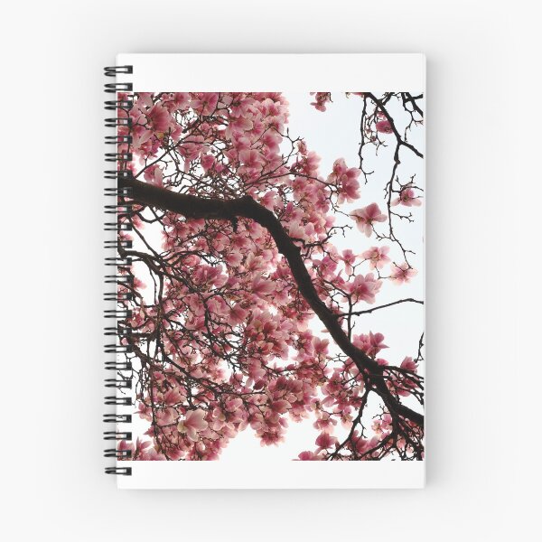Item preview, 04 Pink Magnolia flower in full bloom  designed and sold by tenkenryujin.