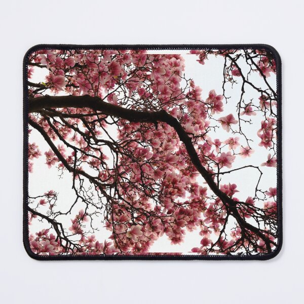 Item preview, 04 Pink Magnolia flower in full bloom designed and sold by tenkenryujin.