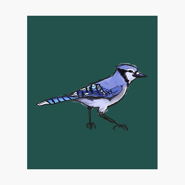Item preview, Blue Jay designed and sold by unicornlasercat.