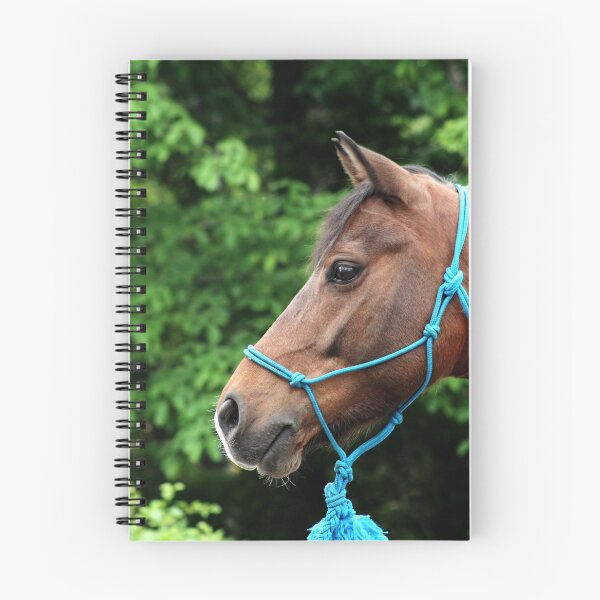 Item preview, 13.6.2018: Portrait of Pony II designed and sold by Petri Volanen.