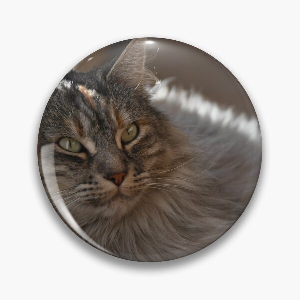 Item preview, Cat resting designed and sold by bagiolita.