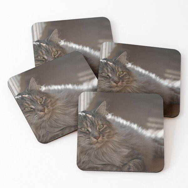 Item preview, Cat resting designed and sold by bagiolita.