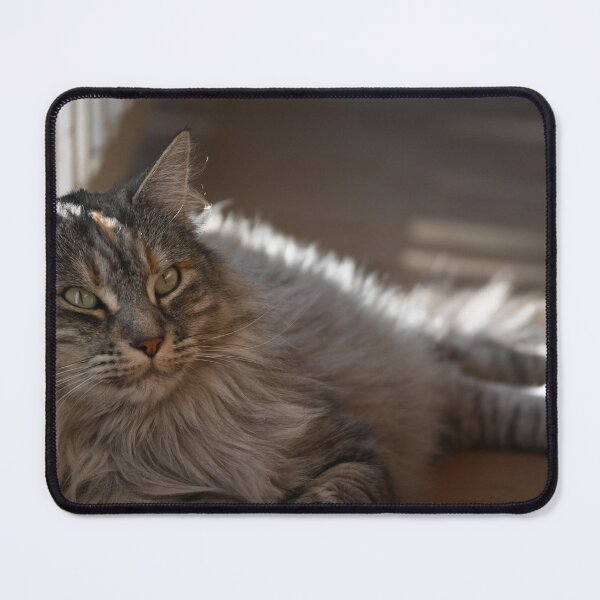 Item preview, Cat resting designed and sold by bagiolita.