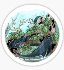 Plecostomus Bio-Bubble Sticker