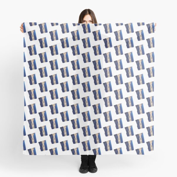 Honduras Flags Scarf