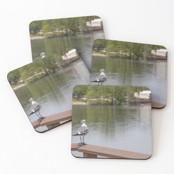 Item preview, Seagull at Crest Lake Park designed and sold by jrtwynam.