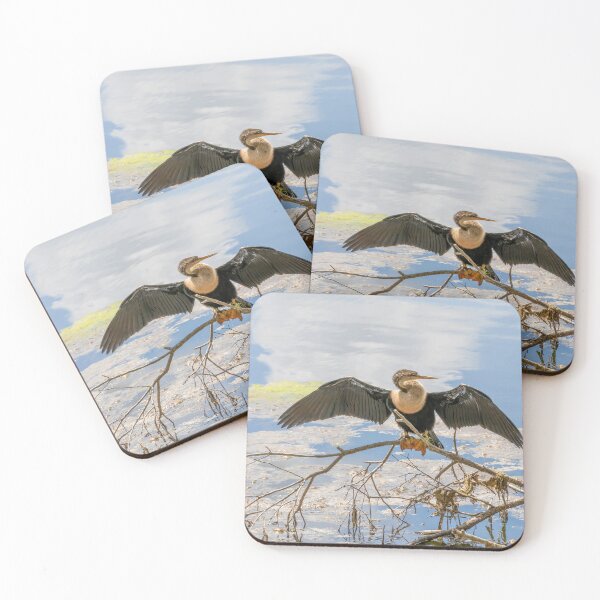 Item preview, Anhinga in Celebration, Florida designed and sold by jrtwynam.