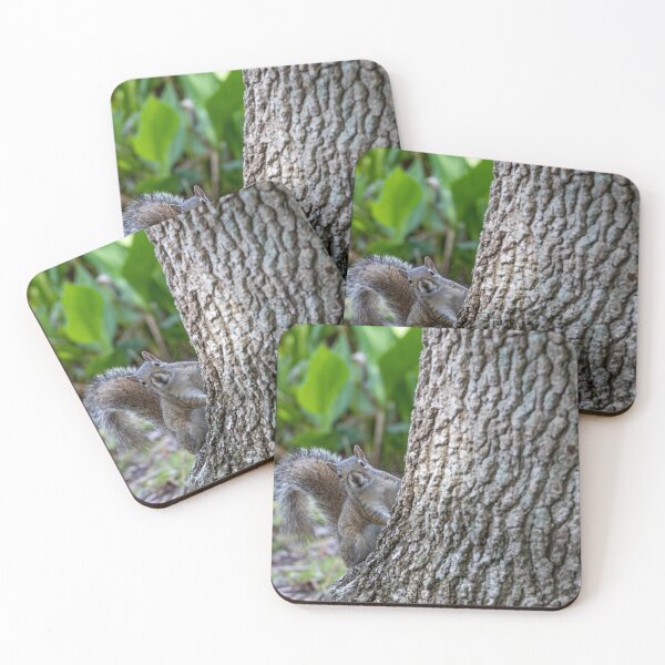 Item preview, Squirrel in Celebration, Florida 3 designed and sold by jrtwynam.