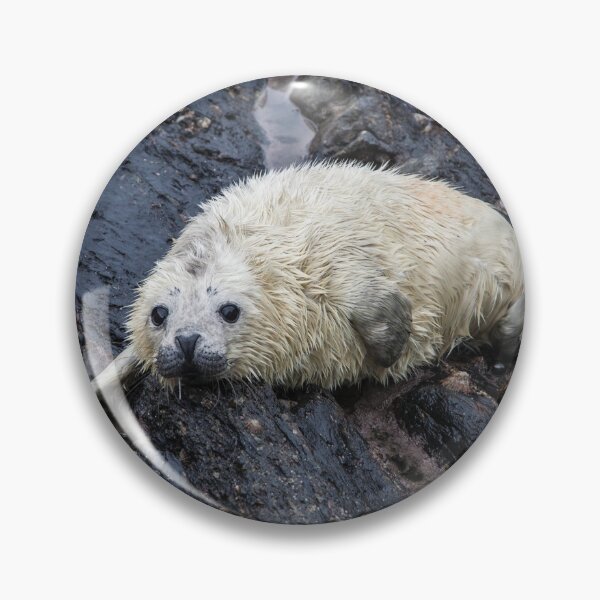 Item preview, Grey Seal Pup designed and sold by Raymond Kerr.