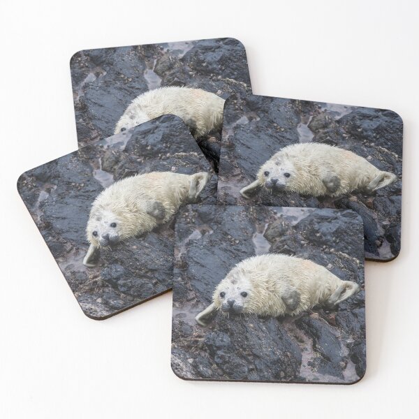 Item preview, Grey Seal Pup designed and sold by Raymond Kerr.