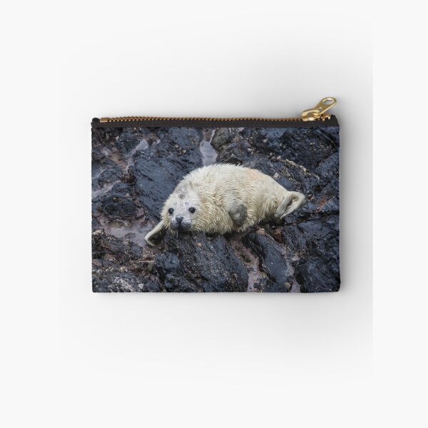 Item preview, Grey Seal Pup designed and sold by Raymond Kerr.