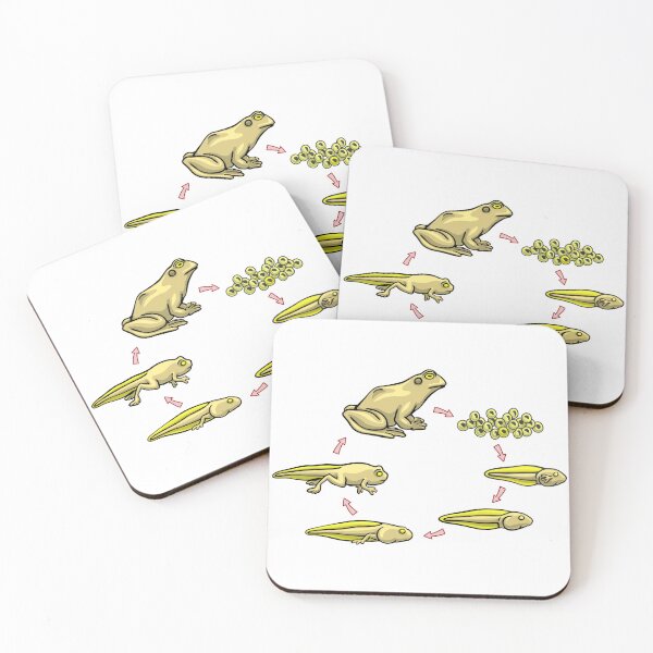 Item preview, Frog Life Cycle - Amphibian Biology Daigram designed and sold by taylorcustom.
