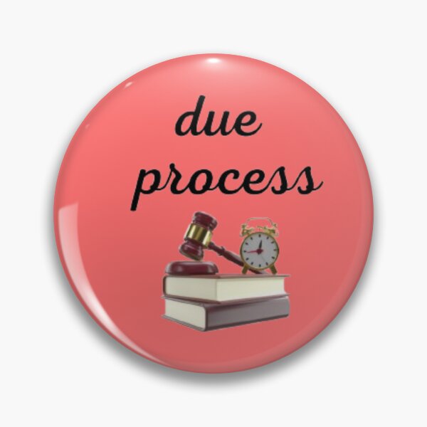 Item preview, due process stickers designed and sold by moh sae.