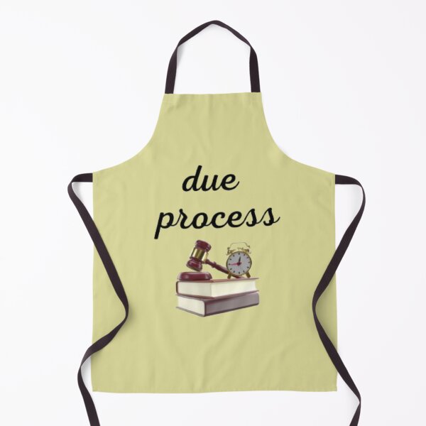 Item preview, due process stickers designed and sold by moh sae.