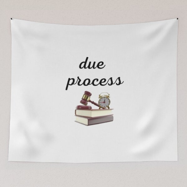 Item preview, due process stickers designed and sold by moh sae.