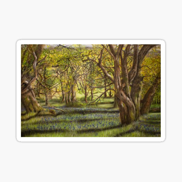 Forest of Bluebells Sticker