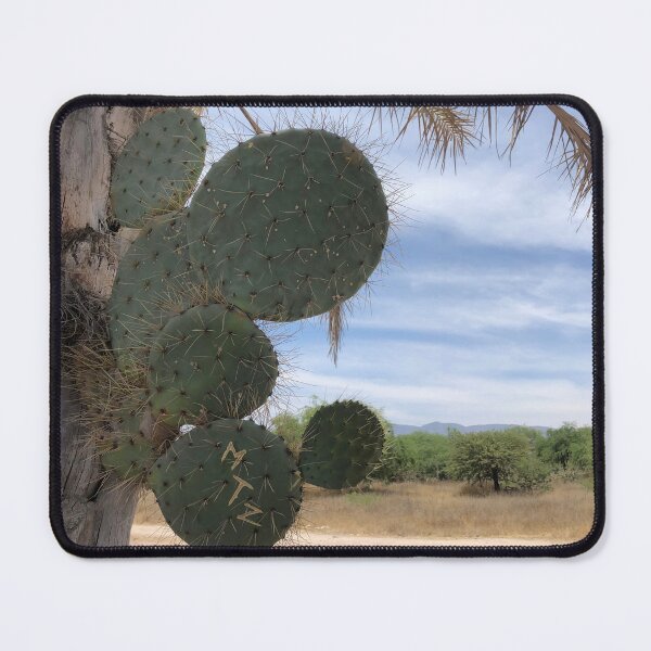 Item preview, I am born where I want designed and sold by RDLT.