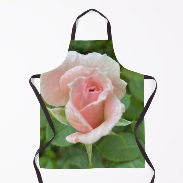 Item preview, Pink rose blooming in Spring  designed and sold by roflinn.