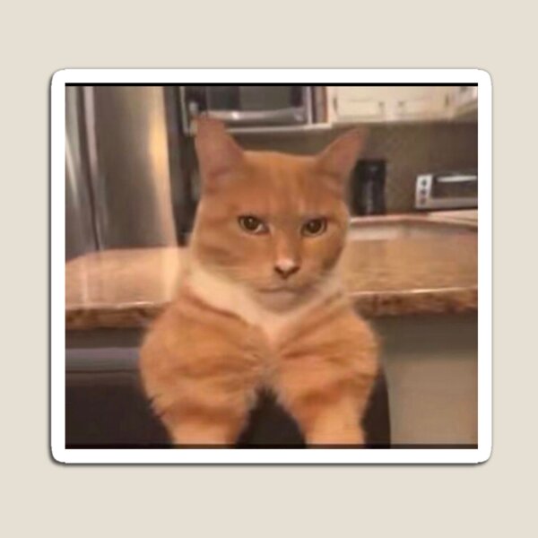 Aperçu de l'œuvre MOG CAT créée et vendue par dannybomb237.