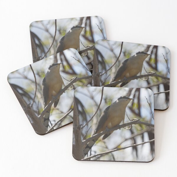 Item preview, Mangrove Cuckoo designed and sold by EnglandEcology.