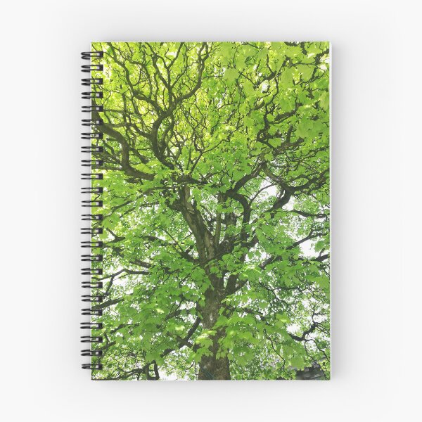 Item preview, Spring green tree designed and sold by esvb.