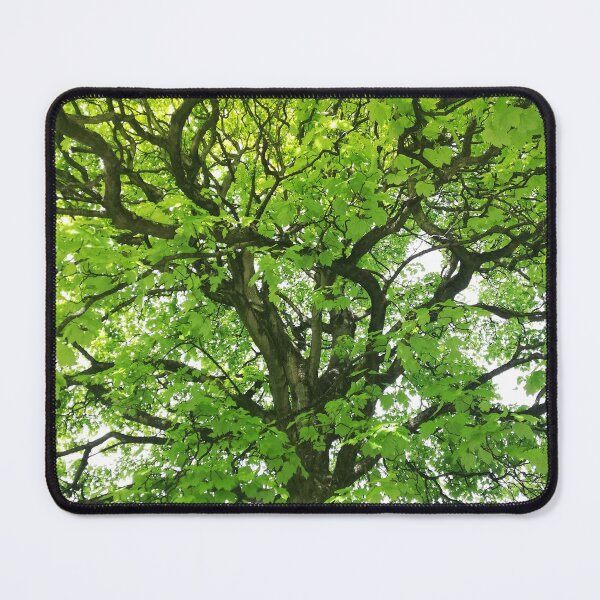 Item preview, Spring green tree designed and sold by esvb.