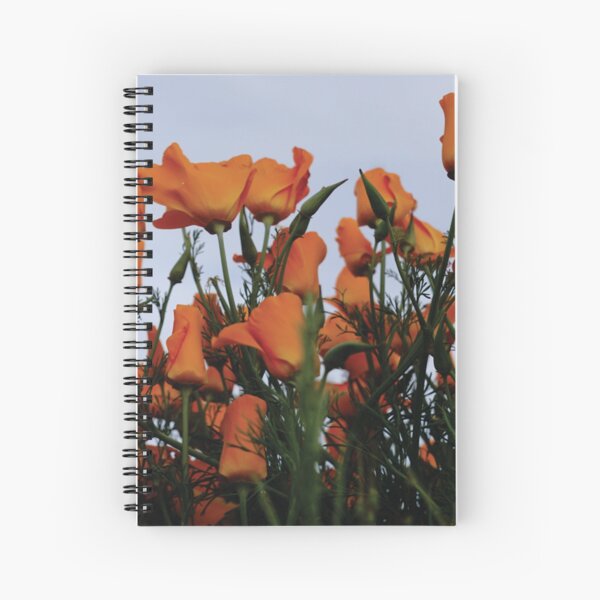 Item preview, Desert Poppies designed and sold by Leota and Co. Art Collective.