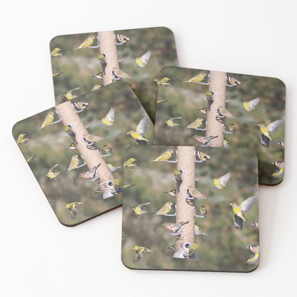 Item preview, Busy bird feeder designed and sold by GreyFeatherPhot.
