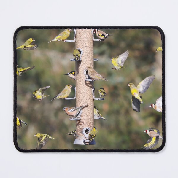 Item preview, Busy bird feeder designed and sold by GreyFeatherPhot.