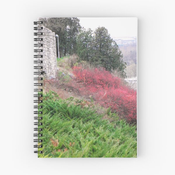 Item preview, Spring on the Fortress Edge, Nature's Colors at Kalemegdan, Belgrade - RedBubble Staff Don't  Steal My Photos  designed and sold by branaghbel.