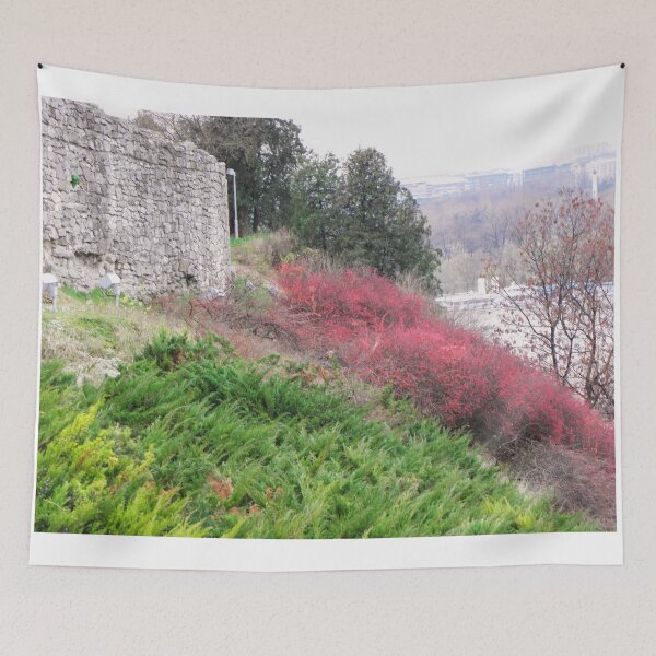 Item preview, Spring on the Fortress Edge, Nature's Colors at Kalemegdan, Belgrade - RedBubble Staff Don't  Steal My Photos  designed and sold by branaghbel.
